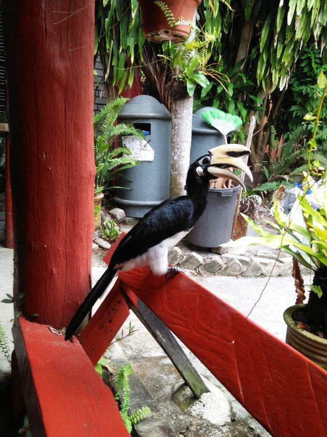 Hotel Nazri Nipah Camp Pekan Pangkor Exterior foto